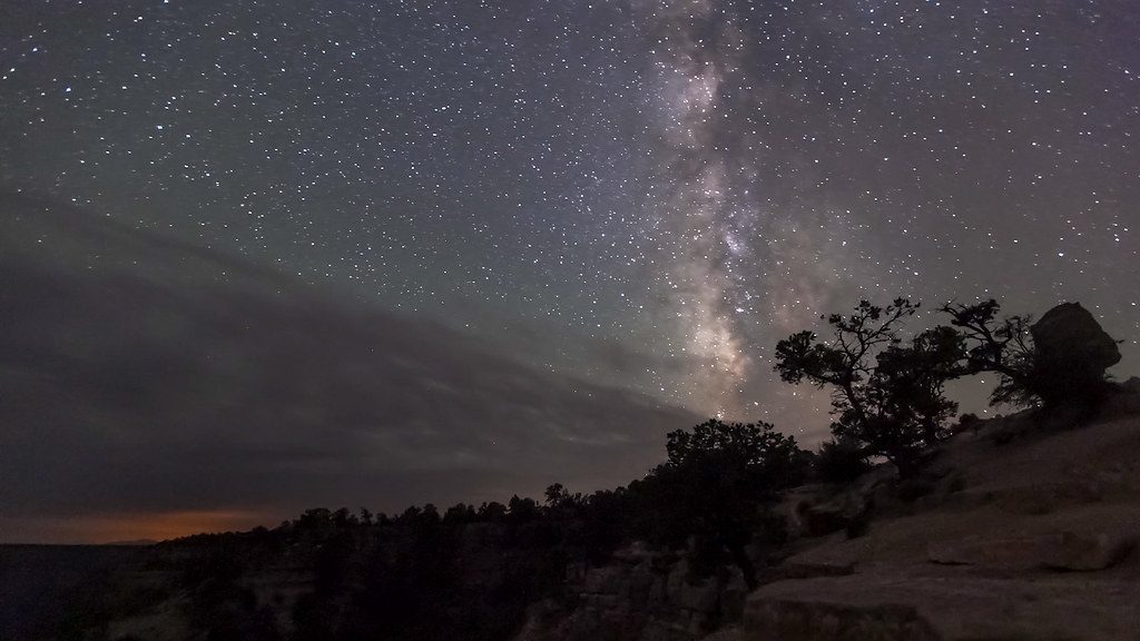 The Milky Way rising over a juniper on the rim of the Grand Canyon, an International Dark Sky Park since 2019