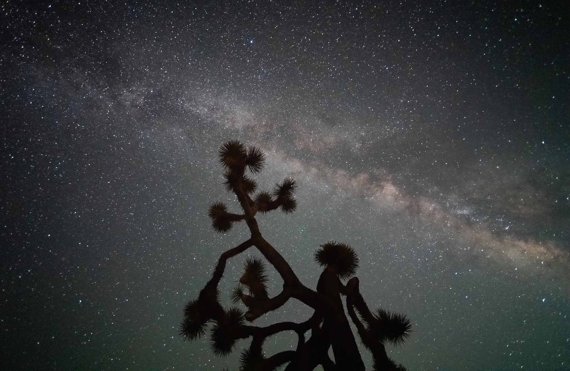 The Milky Way over the desert at Joshua Tree — the wide, star-rich sky a pair of 15×70 binoculars sweeps best