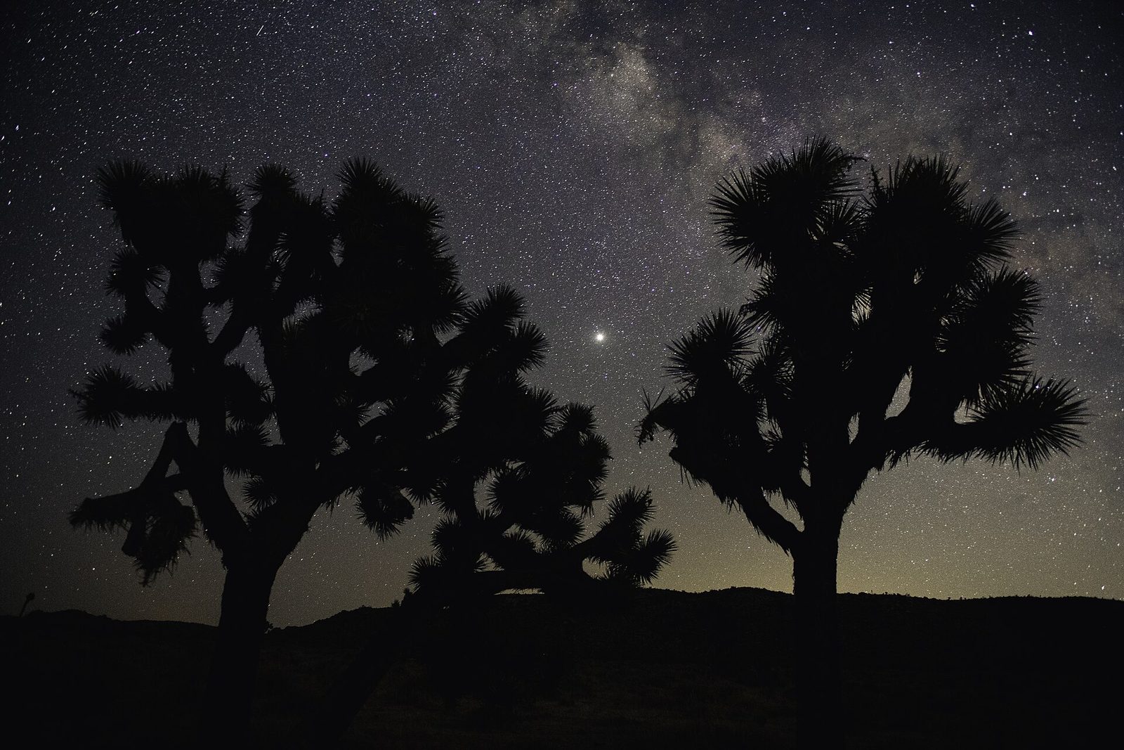 The Milky Way and Jupiter over Queen Valley in Joshua Tree National Park — the same sky you can start exploring tonight, no telescope required