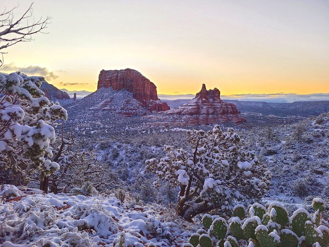 Courthouse Butte and Bell Rock under a yellow dawn sky after a snowfall, with snow-covered juniper and prickly pear in the foreground